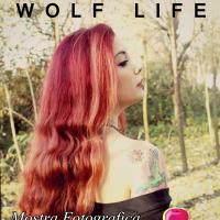 INAUGURAZIONE MOSTRA WOLF LIFE DI MICHELE GLIONNA